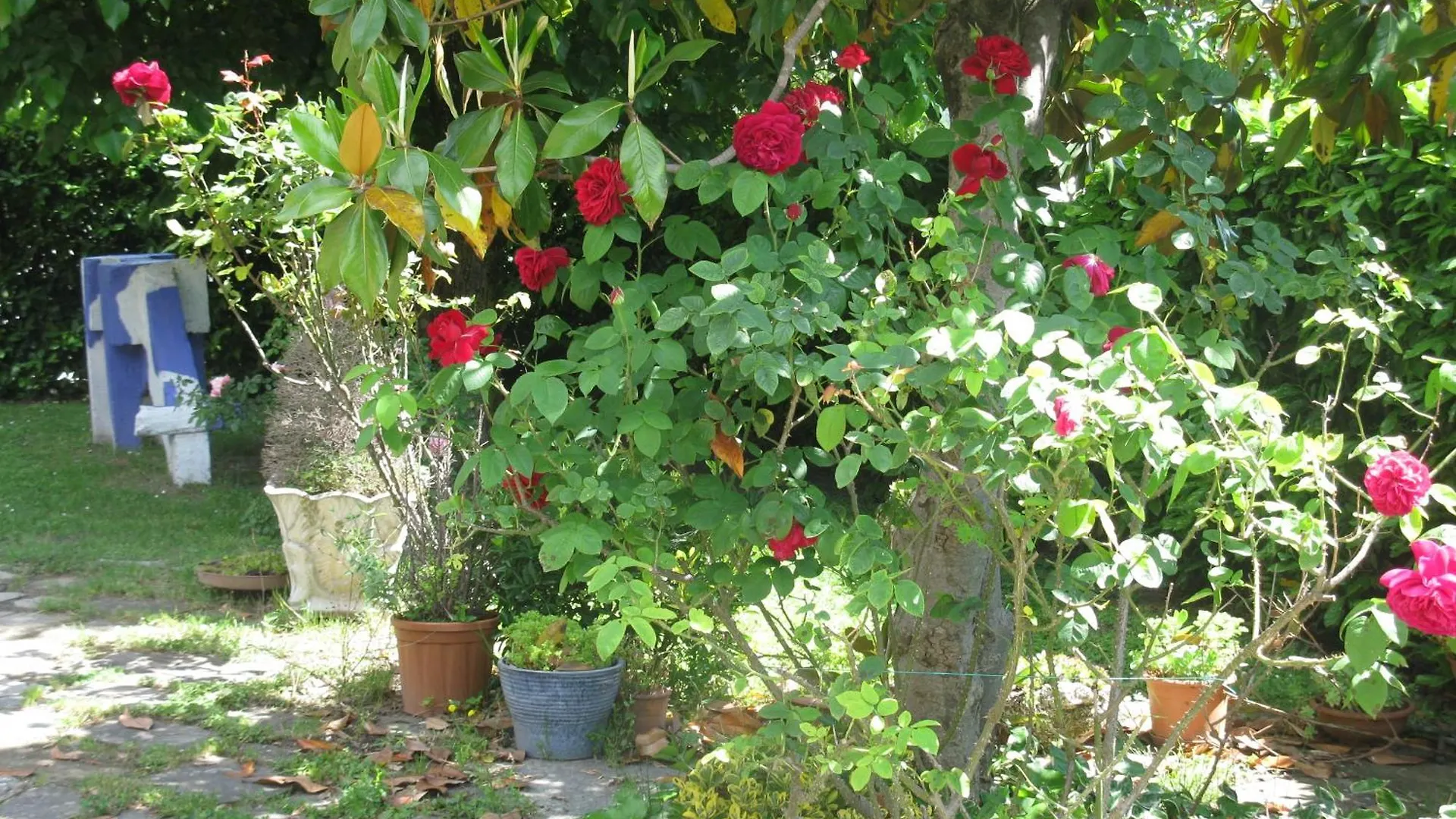 Villa Gesualda Bagno di Romagna 0*,  Italien