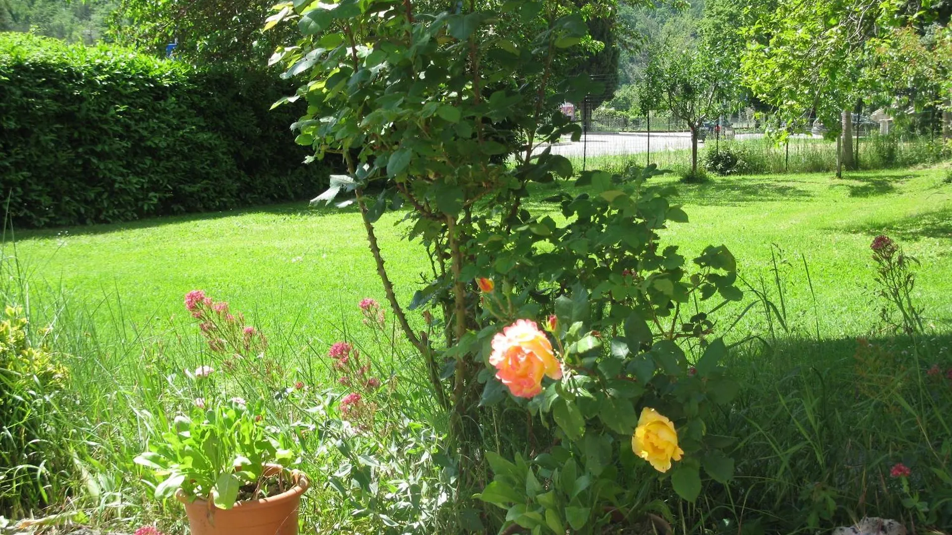 Villa Gesualda Bagno di Romagna
